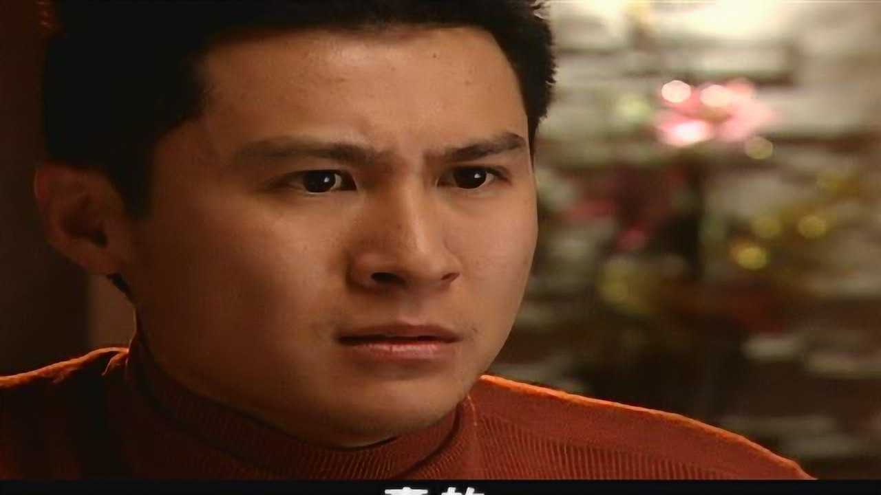 忠诚卫士 9集