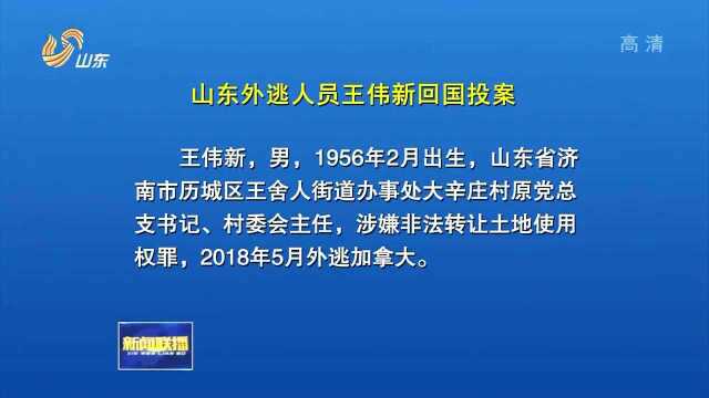 山东外逃人员王伟新回国投案