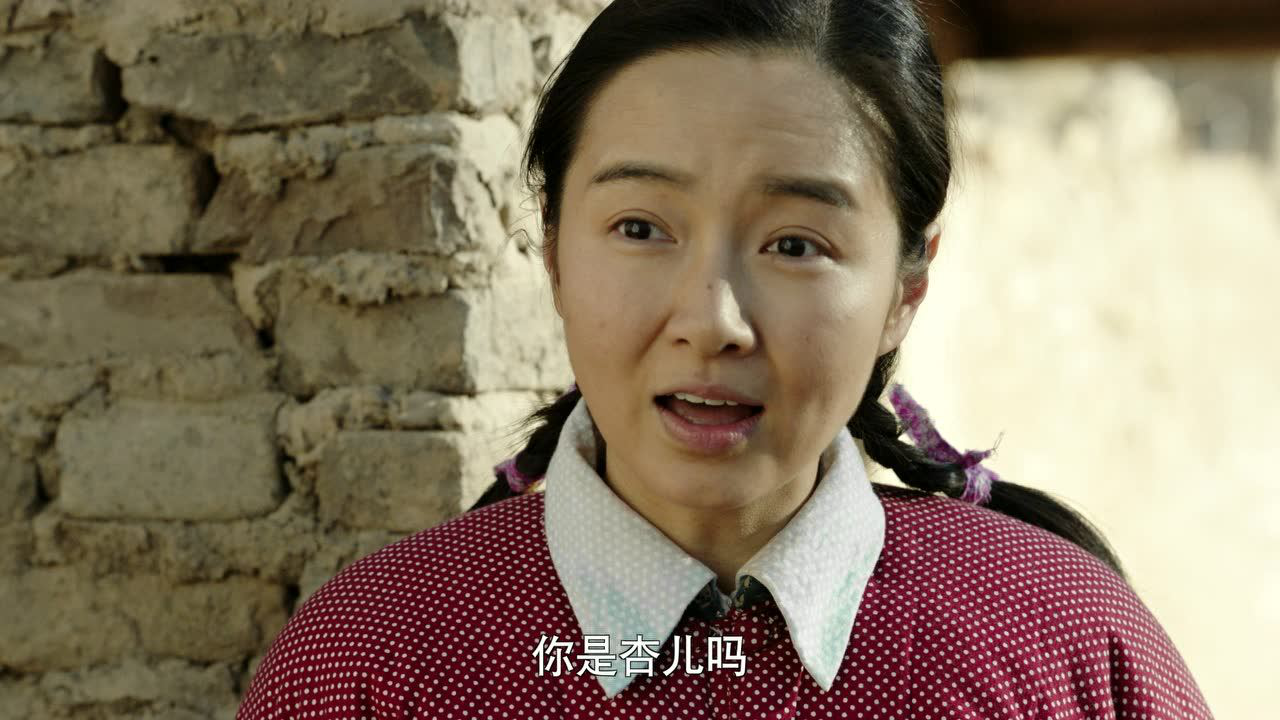 右玉和她的县委书记们 6集