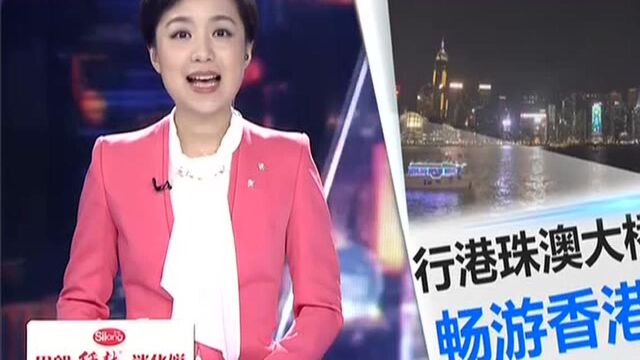 日游亲子园 夜赏维港灯