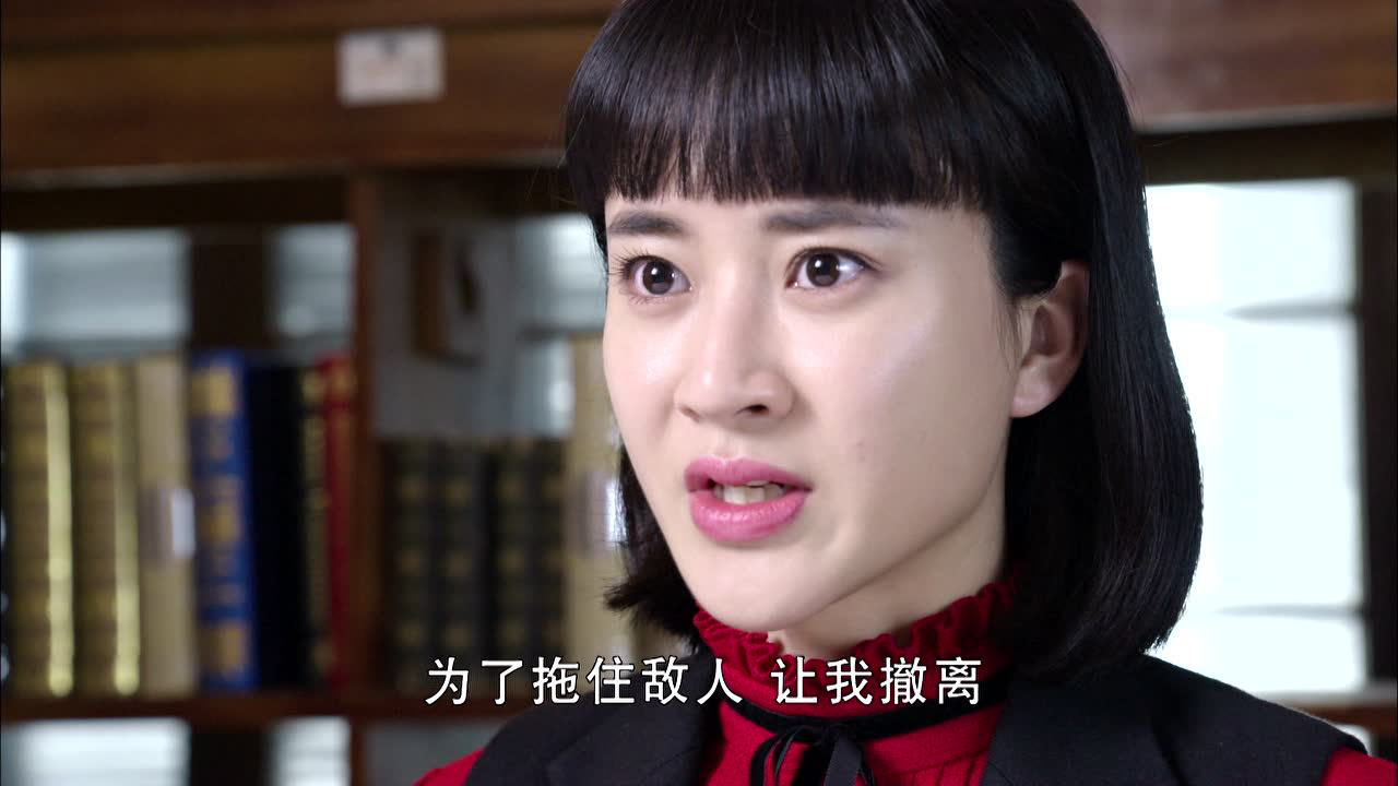 荡寇 27集