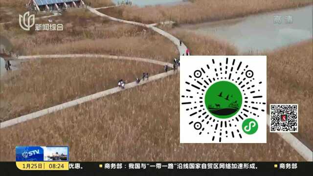 每天微信计步超过6000步 即可在网上探访一处上海湿地