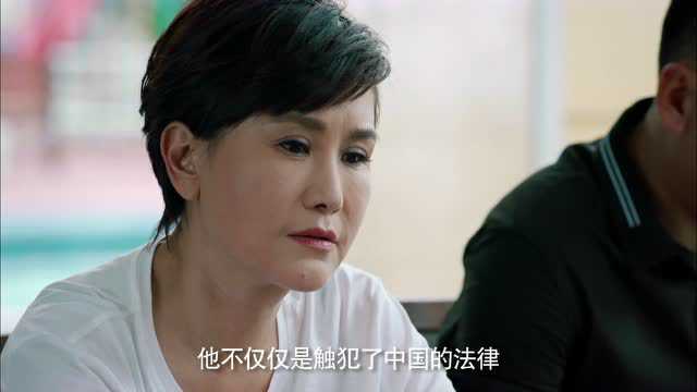 天下无诈 40集