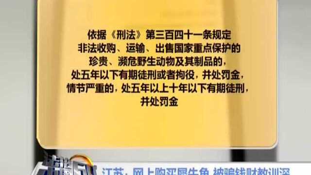 江苏:网上购买犀牛角 被骗钱财教训深