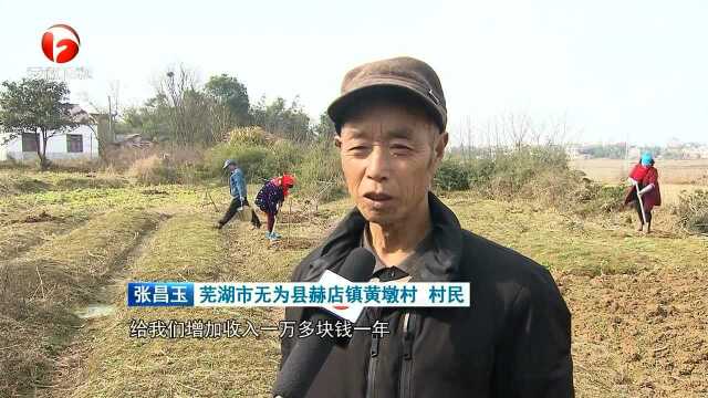 安徽各地:保持战略定力 加强生态文明建设