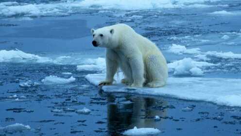 忧心！北冰洋不再是冰的大陆，夏季只是一滩水
