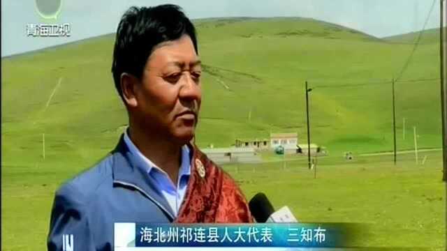 海北州:乡镇人大建设提质扩面 代表履职成效明显