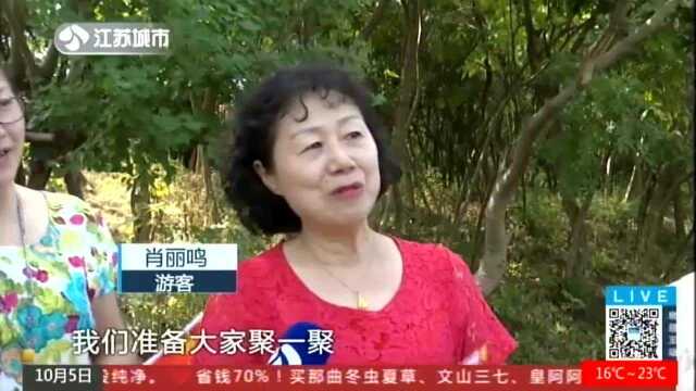 国庆去哪儿玩?汤山超多网红景点等你打卡