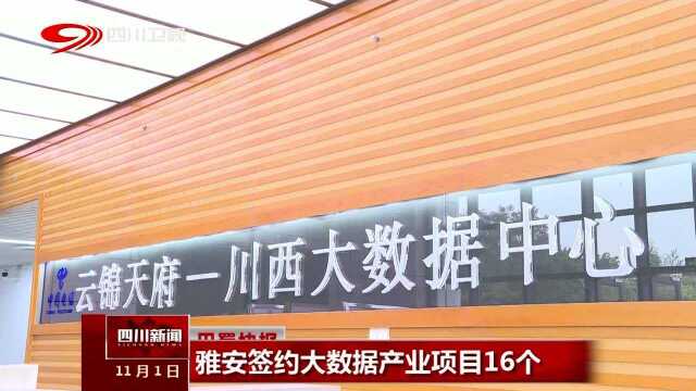 雅安签约大数据产业项目16个