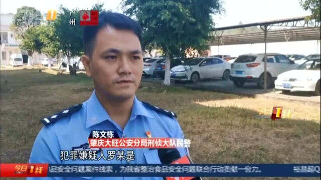 肇庆大旺:父子上阵盗电缆 后悔坑娃流下泪