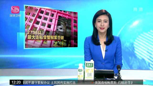 海关查获食蟹猴2735只 为中国海关缉私侦办该类最大案件