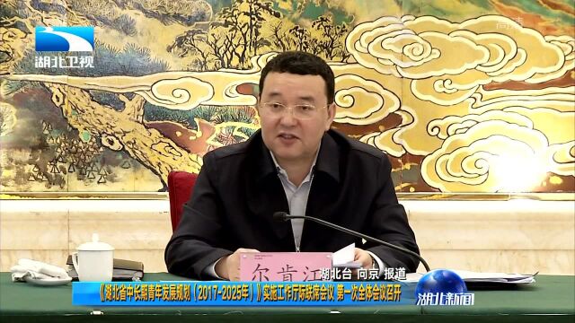 《湖北省中长期青年发展规划(20172025年)》实施工作厅际联席会议 第一次全体会议召开