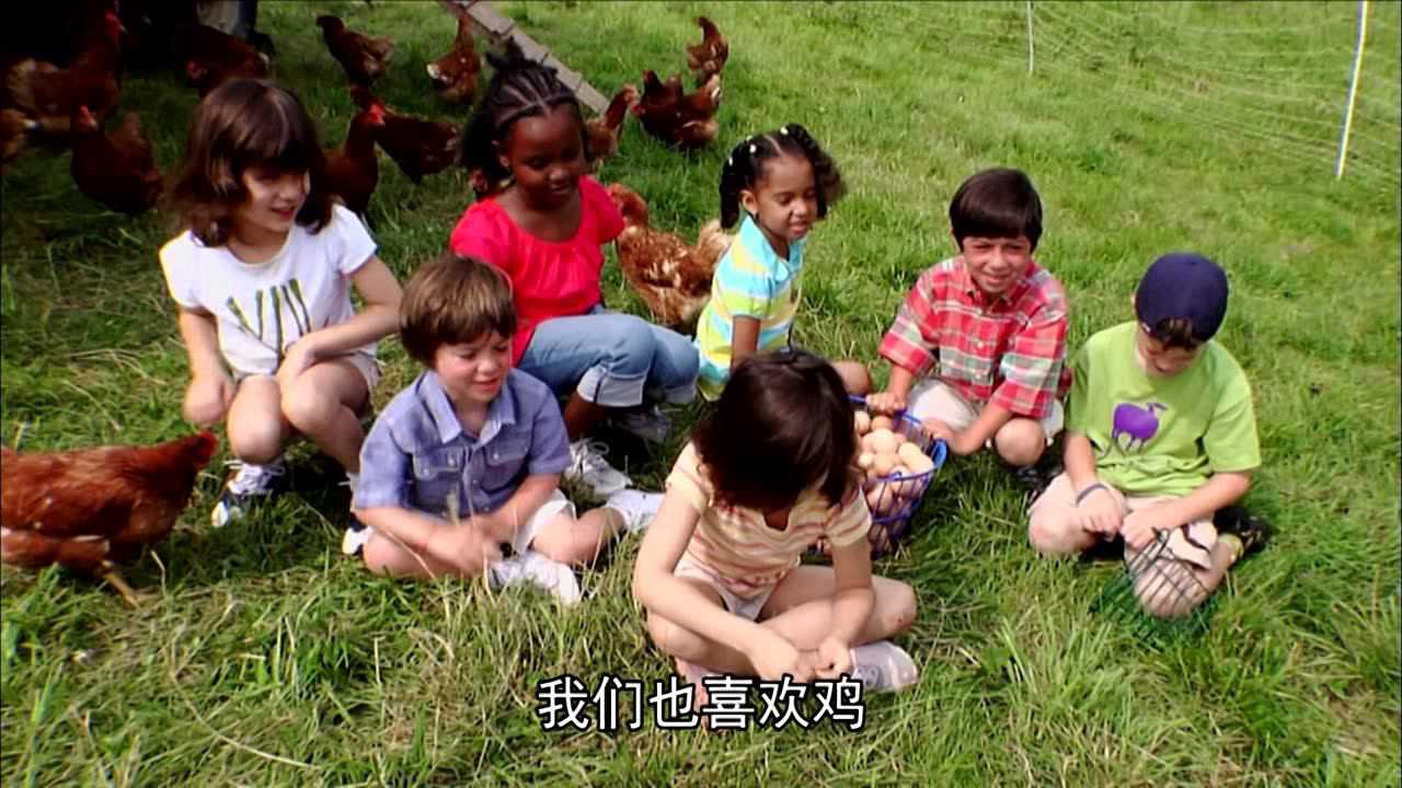 芝麻街国际版第46季[磨耳朵英文版] 5集
