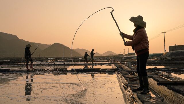 【幕后花絮】辛勤的盐工 交错的盐池 超美画面带你领略制盐全过程 