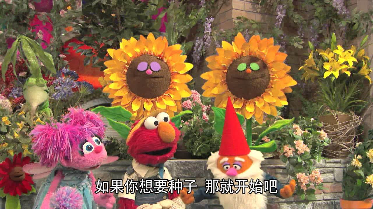 芝麻街国际版第46季[普通话版] 11集