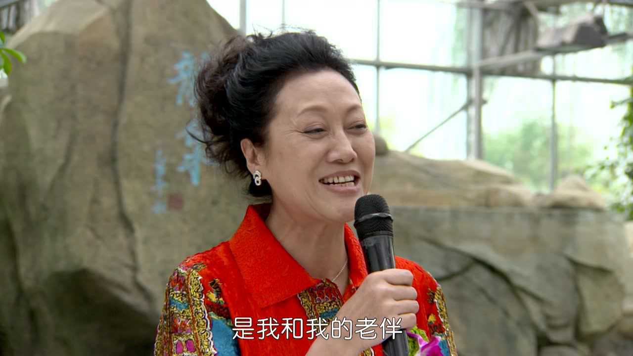 丈母娘来了 30集