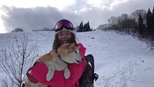 想做你怀里的柴犬!滑雪爱好者单板翻转 狗子欢脱得飞起