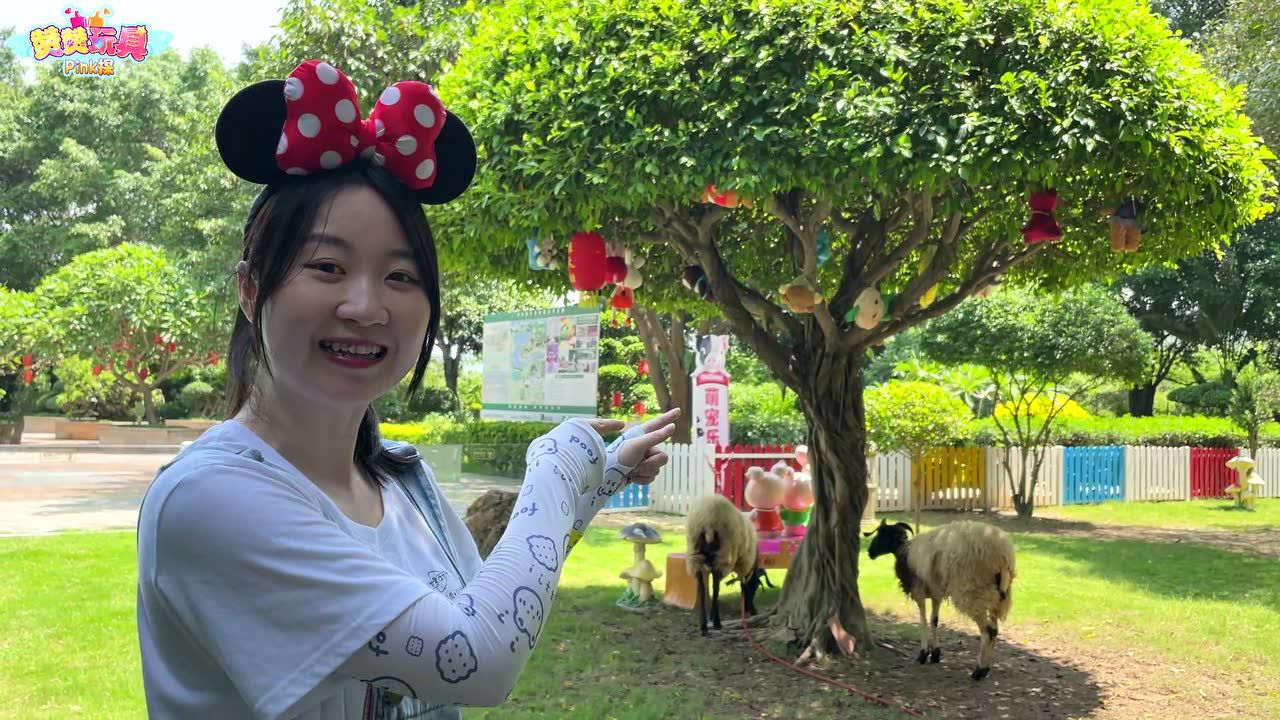 赞赞玩具Pink探：益智之旅 20集