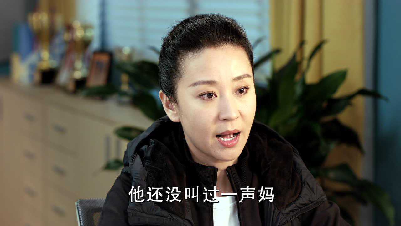 陪你逐风飞翔[DVD版] 10集