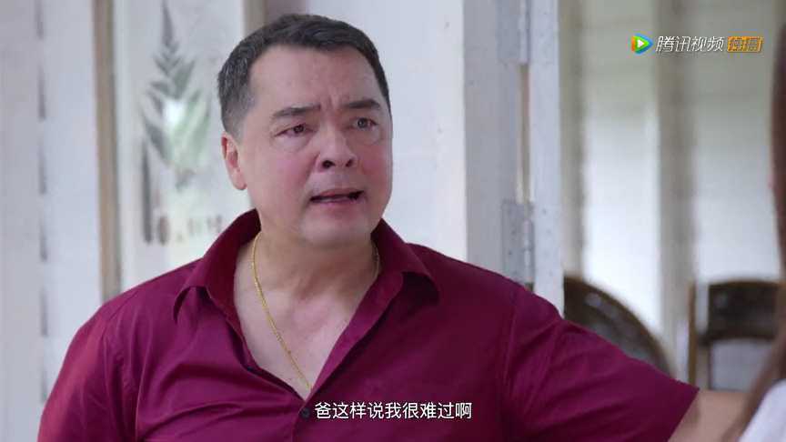 爱的幸福闪耀[普通话版] 14集