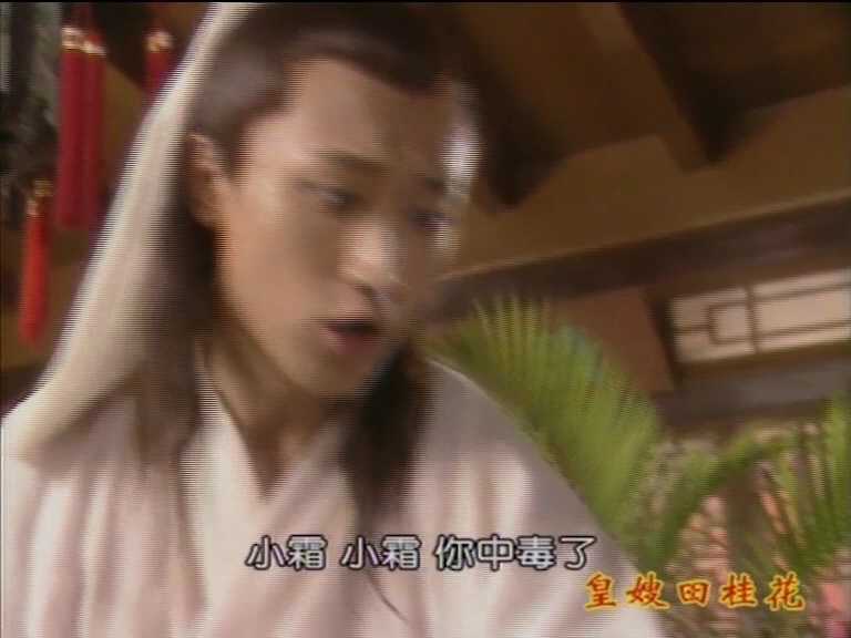皇嫂田桂花2 13集