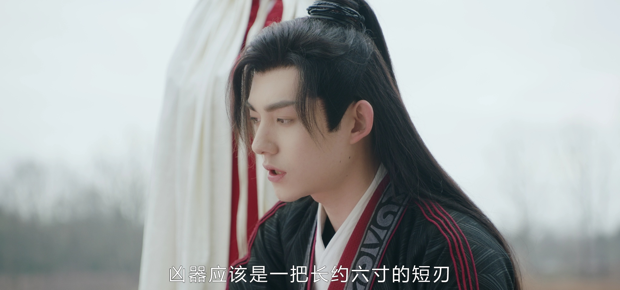 双面赘婿 10集