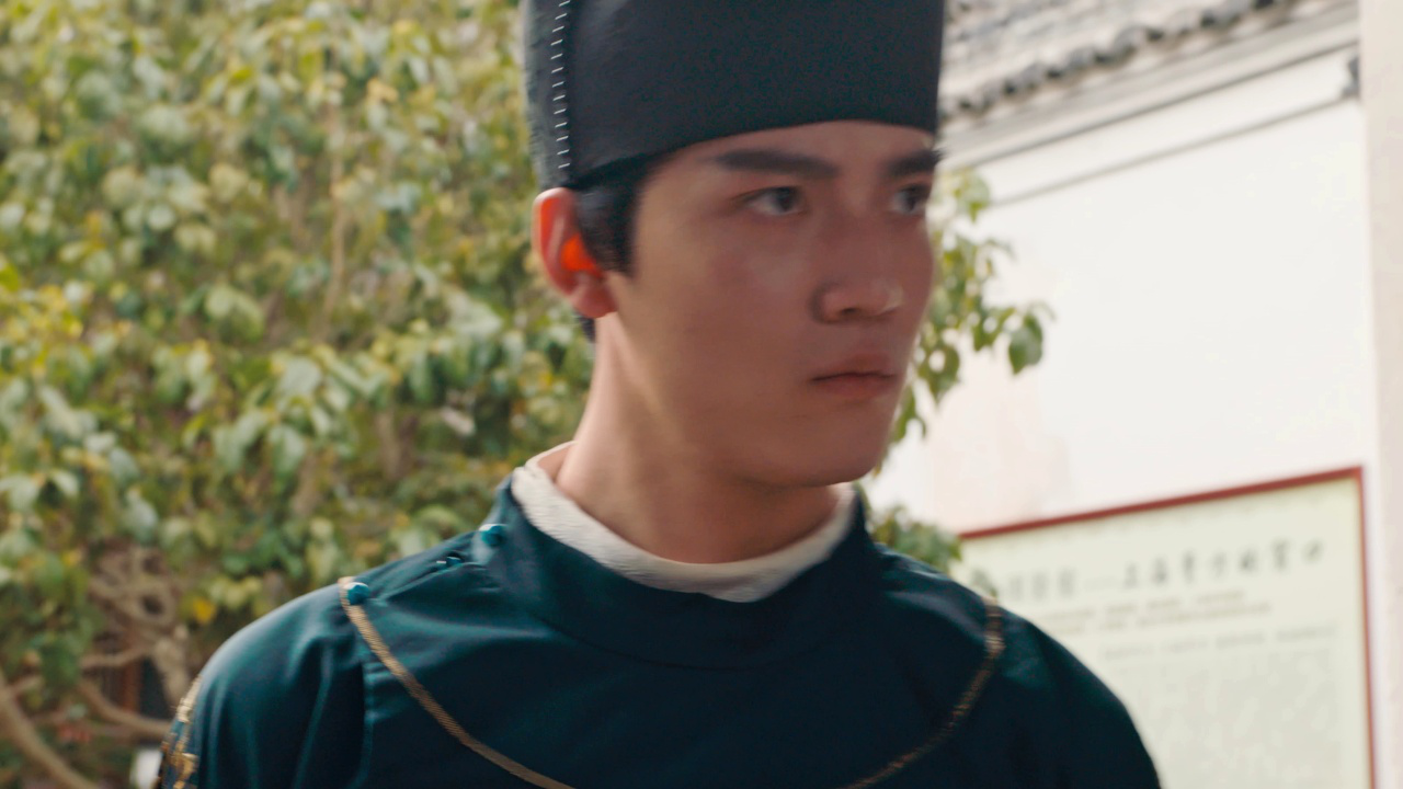神医大人别撩我 4集