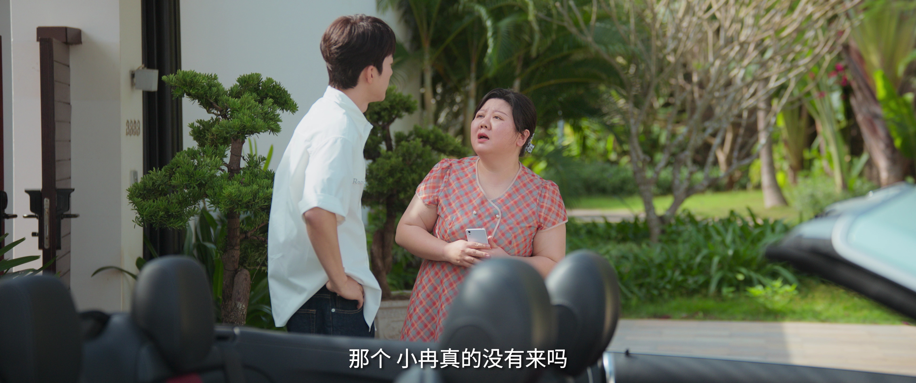 夏花 9集