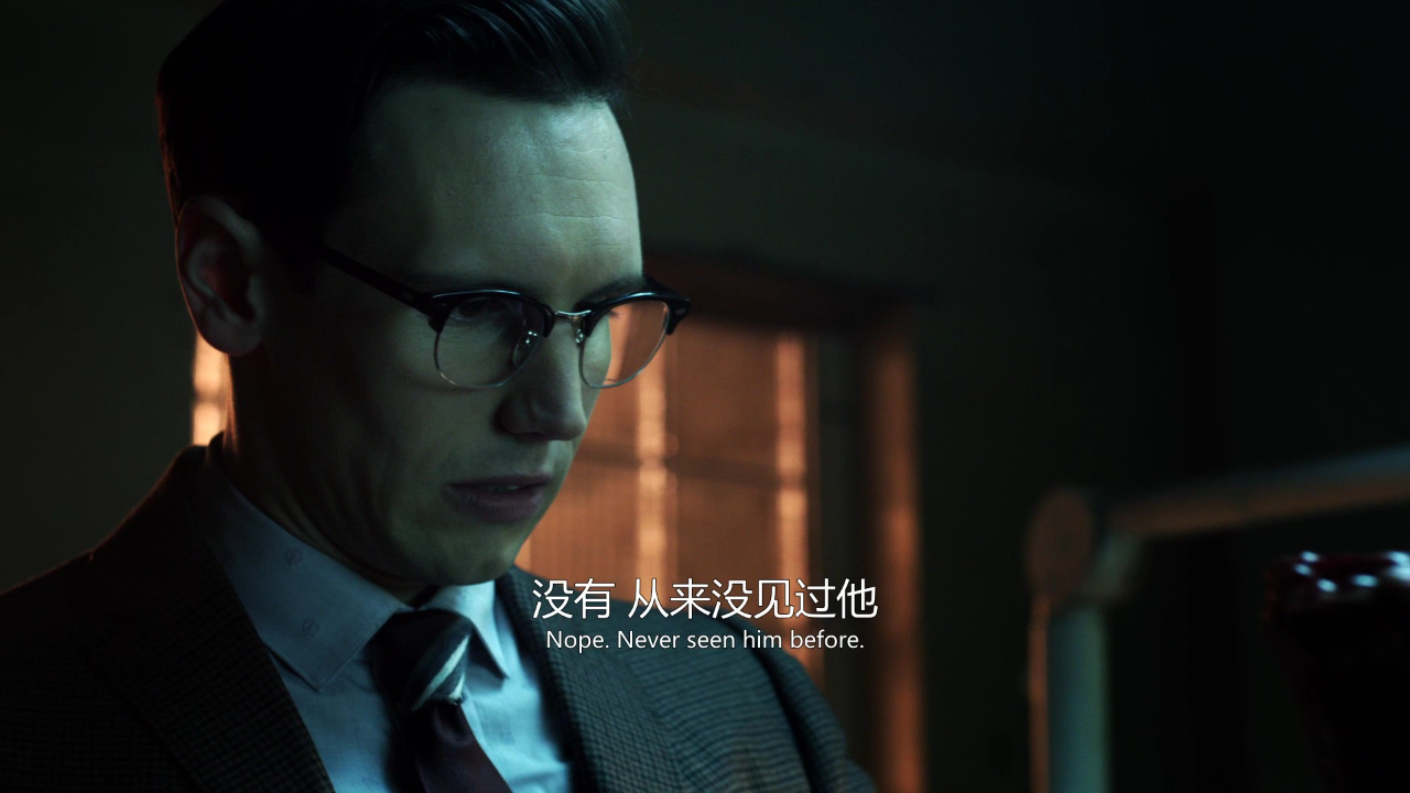 哥谭镇 第一季 21集