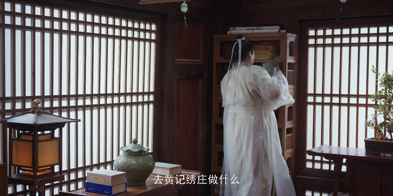 九义人 25集
