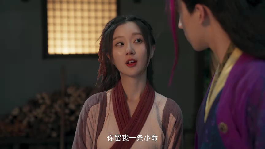 豆花依旧笑春风 14集