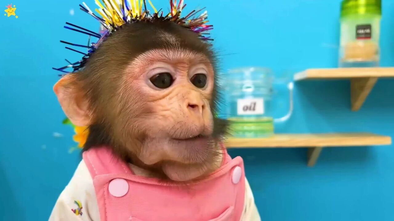 聪明小猴子布布