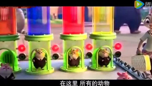 视频: 疯狂动物城  电影  2016 中文版 国语版