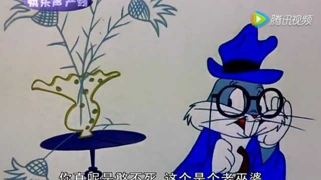 烧包谷电影版第6弹_腾讯视频