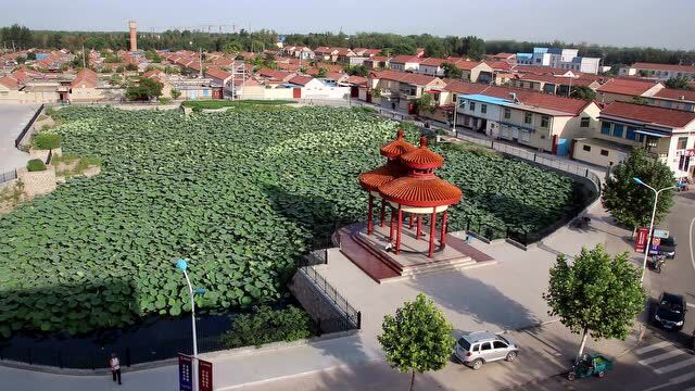 博兴县寨郝村现貌