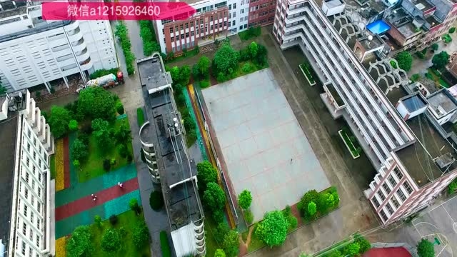 广西容县杨梅高中