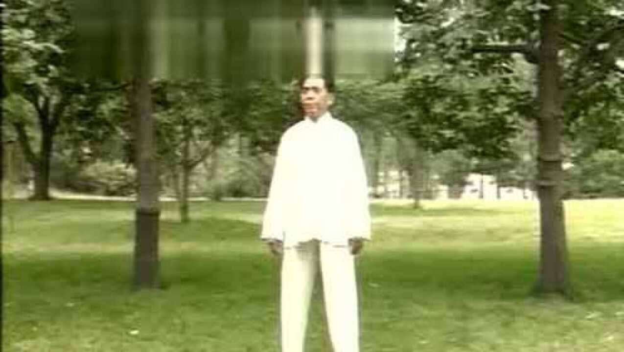 冯志强混元太极拳48式_高清1080P在线观看平台_腾讯视频