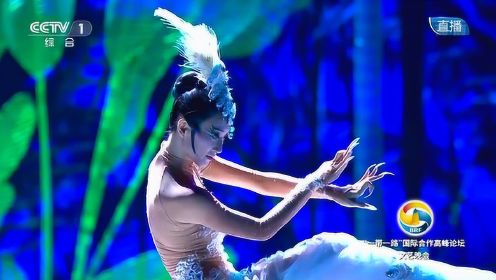舞蹈《雀之灵》“一带一路”国际合作高峰论坛文艺晚会