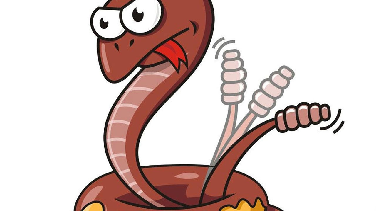 解剖响尾蛇的响环里有什么