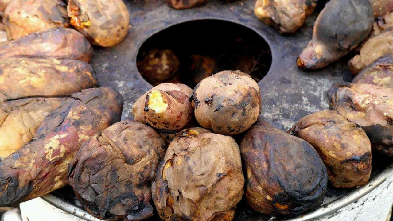 家乡|村会玩!炉子烤红薯,越烤越幸福