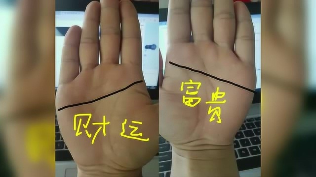 男人断掌黄金万两这手相的人注定是个有钱之人想不富贵都难