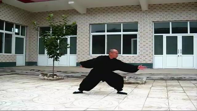 85式杨氏太极拳全套演练李占英