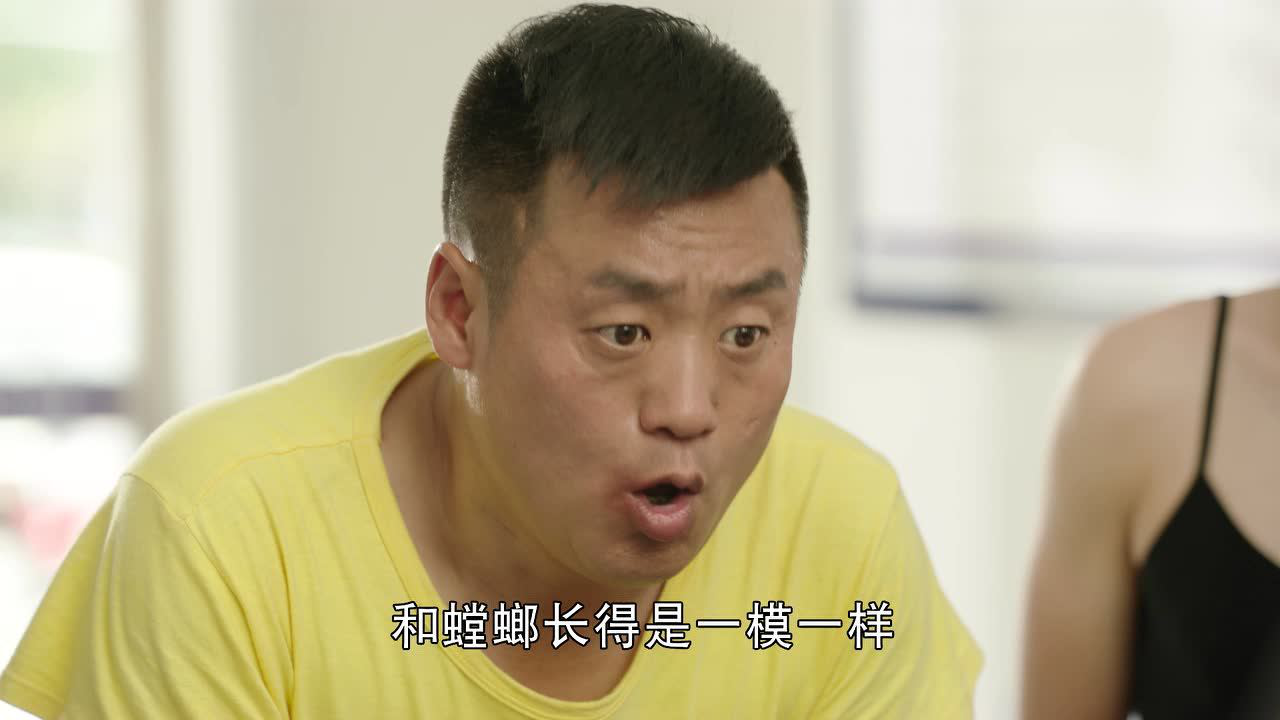 槑头槑脑3 19集
