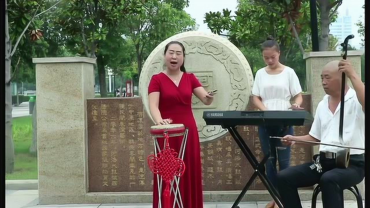 河洛大鼓名家王春红金钱咏叹调唱得太对了