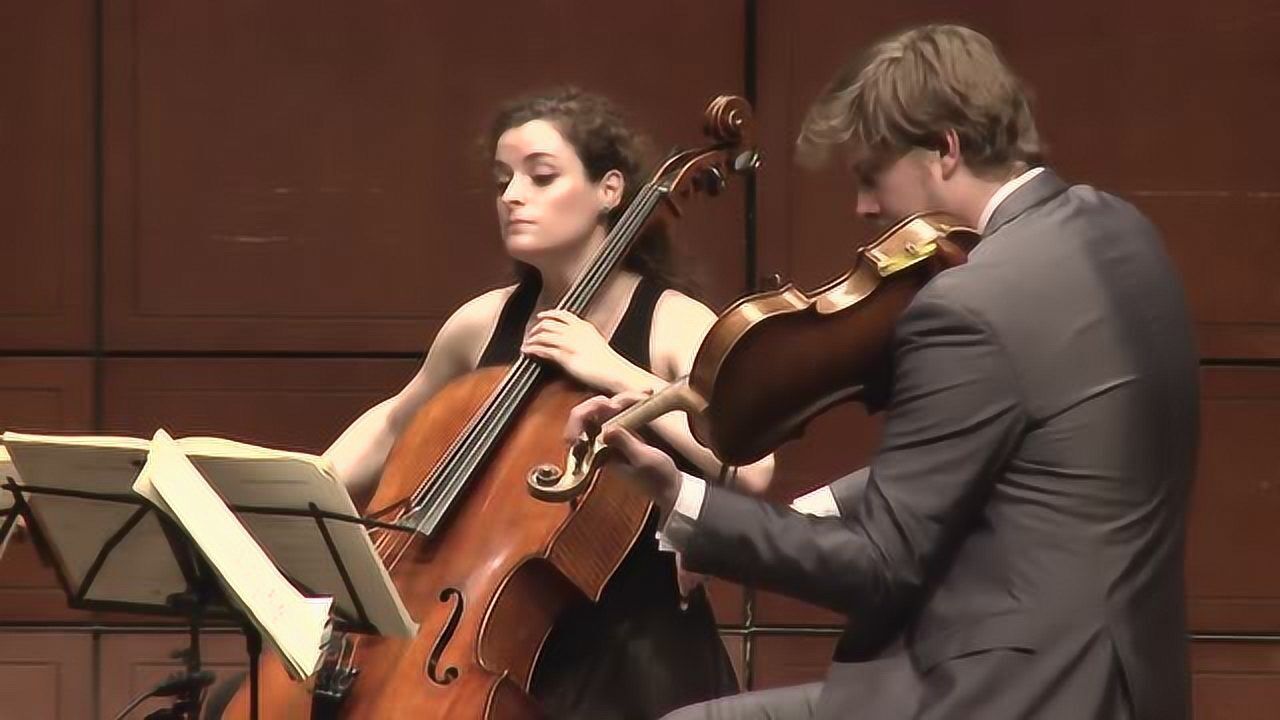 贝多芬弦乐四重奏op.132,a小调