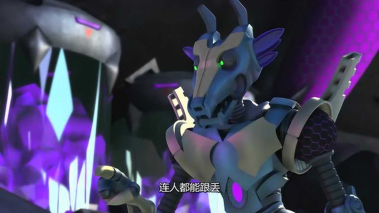 神兽金刚黑白怪与狼狈怪光知道斗嘴谁都不服谁