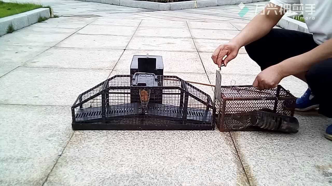 分离式连续捕鼠器 捉鼠神器 捕鼠神器