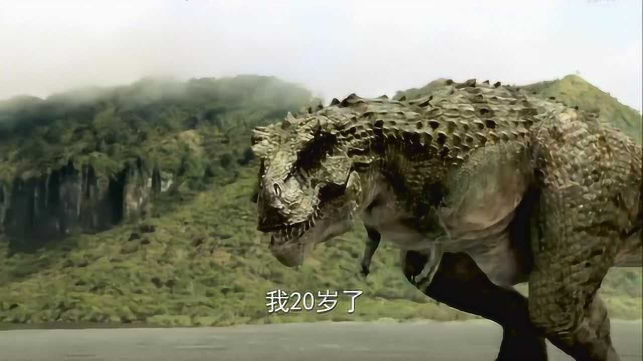 特暴龙历险记斑点暴龙长大后秒杀牛角龙单眼暴龙都害怕了