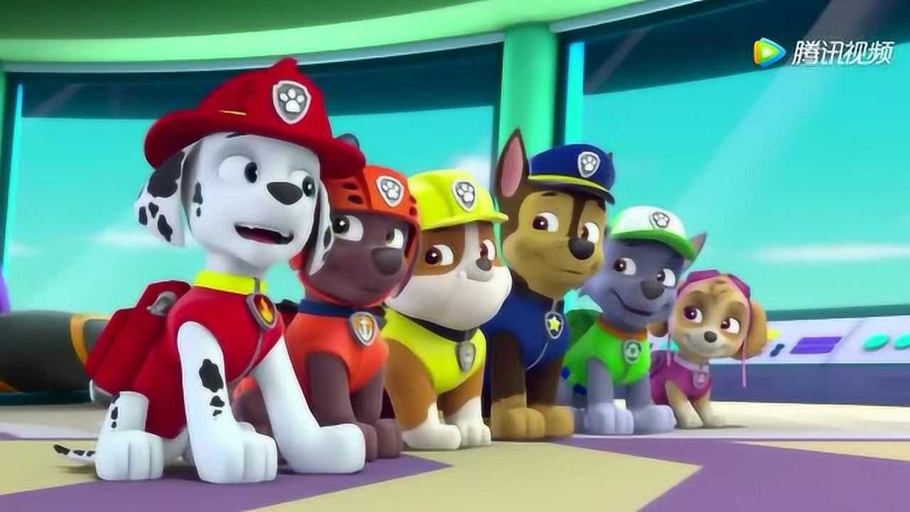 汪汪队-小丽不但歌唱的好,干活也很厉害