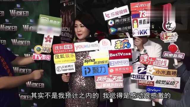 梁小冰坚决退出“慧妍雅集”感激好友“袁女侠”公开力挺